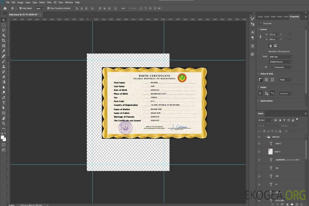 Modèle PSD d'acte de naissance en Mauritanie template